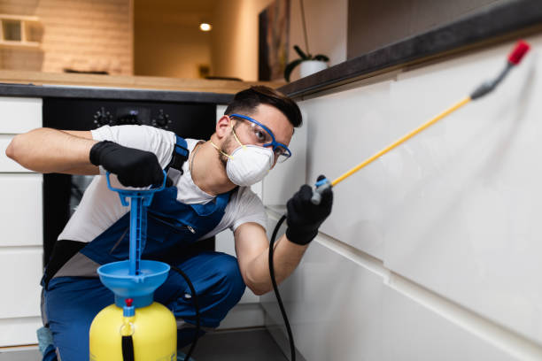 Best Best Pest Control Companies  in Moreland Hills, OH