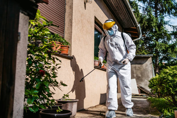 Best Affordable Pest Control Services  in Moreland Hills, OH