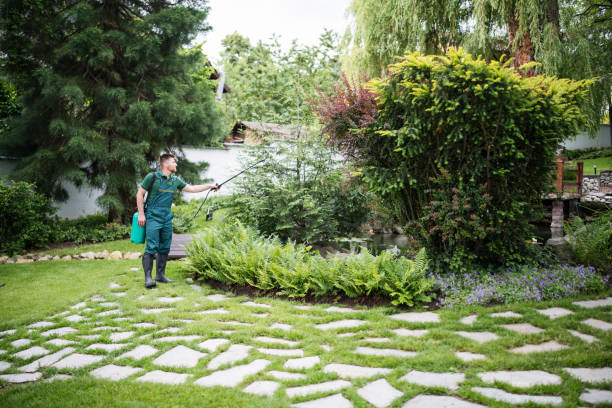 Best Exterminator Services  in Moreland Hills, OH