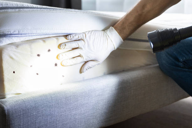 Best Local Pest Control Services  in Moreland Hills, OH