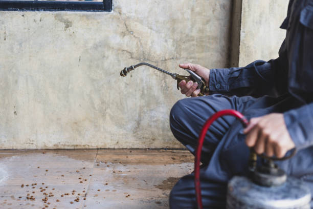 Best Pest Removal Services  in Moreland Hills, OH
